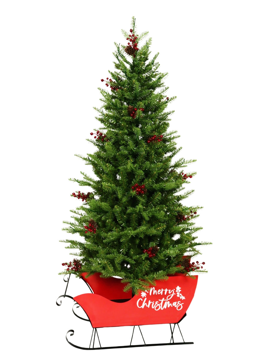 5' Mountain Green Fir in Sleigh